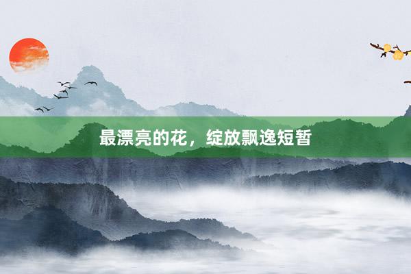 最漂亮的花，绽放飘逸短暂